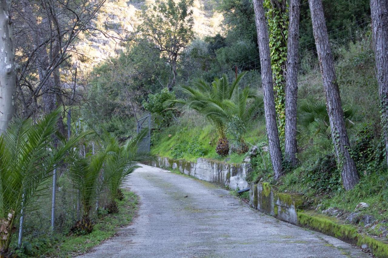 Stay Wild En Las Casitas De Huerta Arriba Benamahoma Kültér fotó
