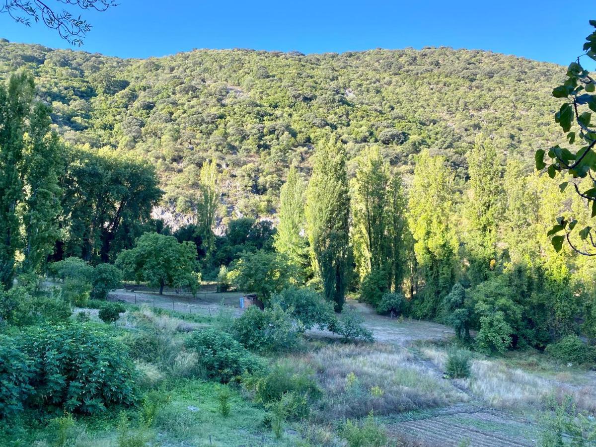 Stay Wild En Las Casitas De Huerta Arriba Benamahoma Kültér fotó