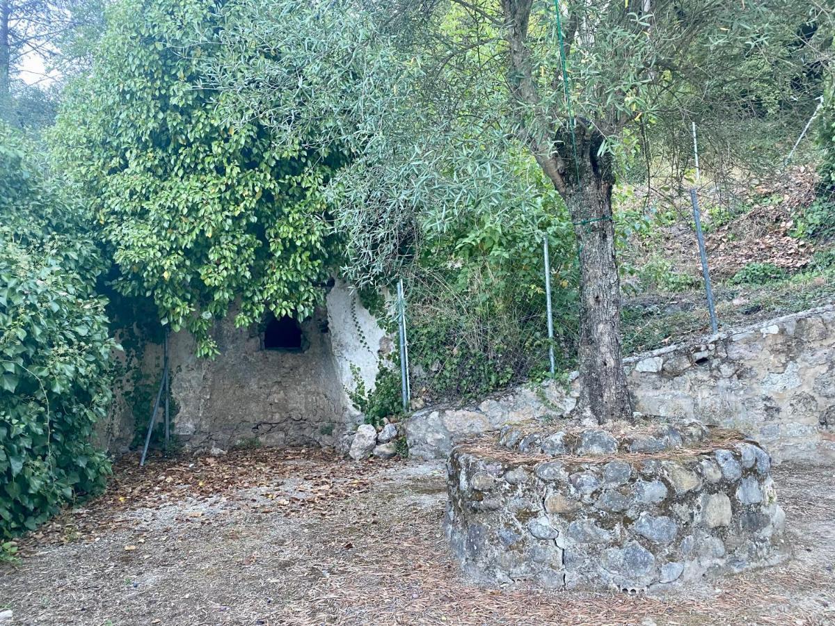 Stay Wild En Las Casitas De Huerta Arriba Benamahoma Kültér fotó